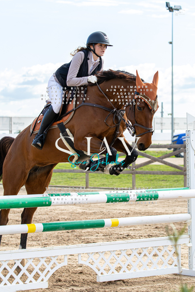 IMG_3127 | s-jay-photography - Realisiert mit Pictrs.com