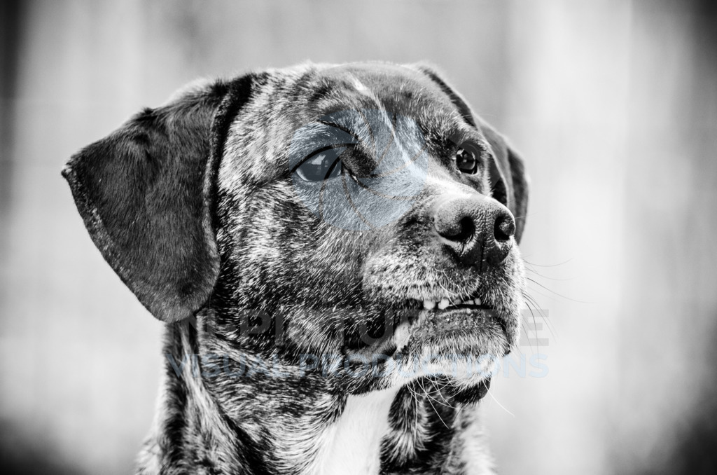 _DSC2109 | in-picture - Realisiert mit Pictrs.com