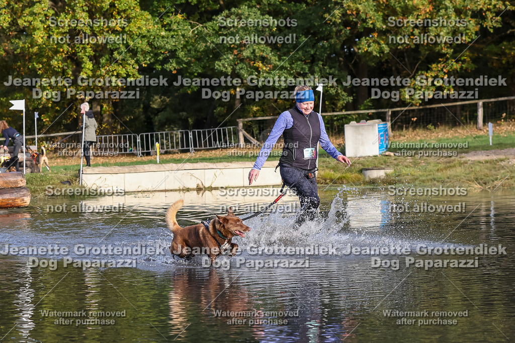 Dog Paparazzi - Strongdog 10-25-8403 | Dog Paparazzi Jeanette Grottendiek Fotografie & Videografie - Realisiert mit Pictrs.com