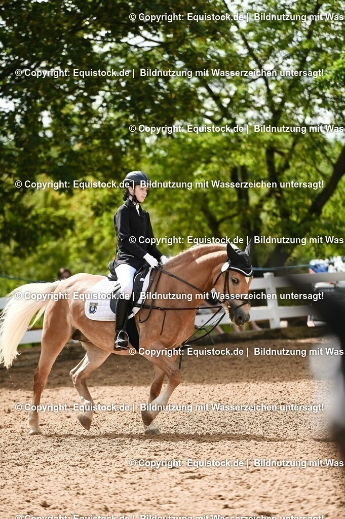 20230716_10-1_Reiter-WB Schritt - Trab - Galopp_0205 | equistock