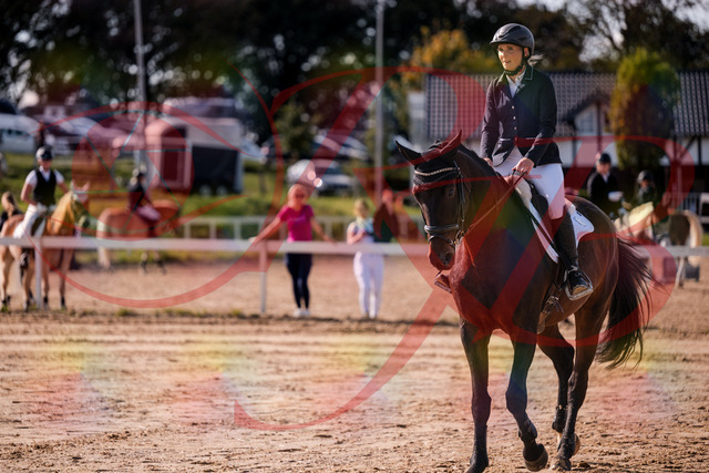 2026_10_03_Siefer-Hof_143912_Z81_09583035 | Professionelle Reitsport-, Turnier- und Eventfotografie von Robert Broda. Galerien mit ausgewählten und bearbeiteten Bildern direkt online ansehen und bestellen.
