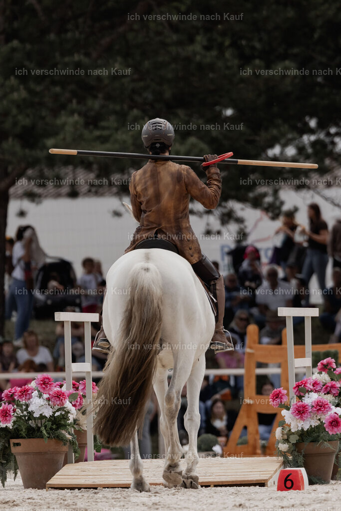 WE_ST_Stoib_347_PI2025_1044 | Pferd International München 2025
