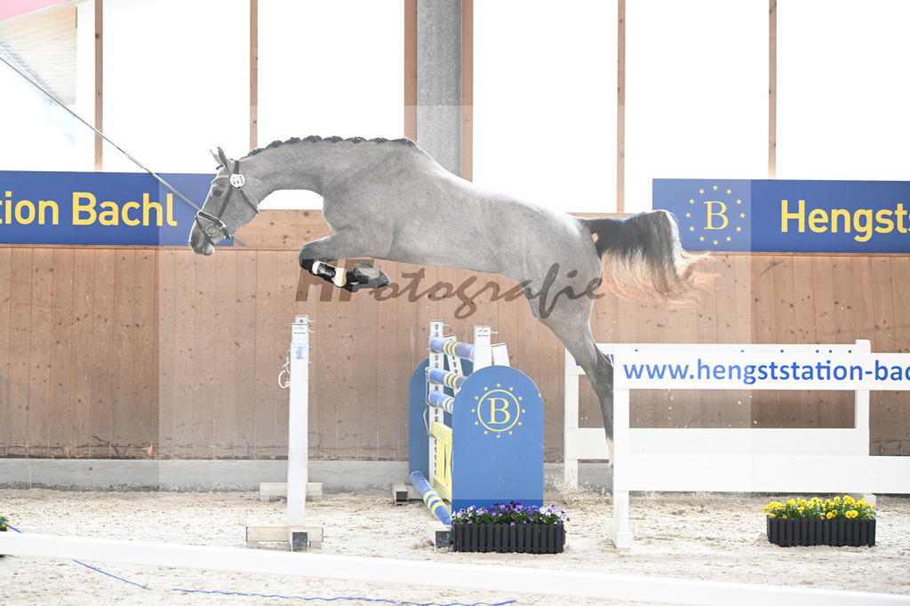 Kat-Nr. 9 nn v. Vingino_Schindele_5250229 | hf-fotografie - Realisiert mit Pictrs.com