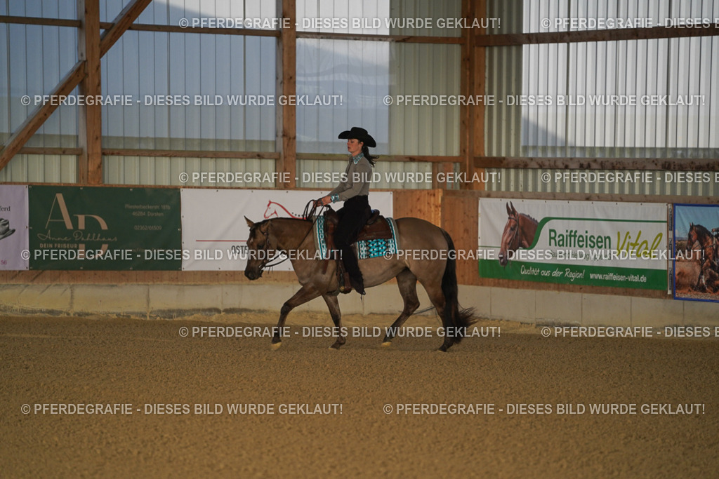 DSC07596 | Pferdegrafie