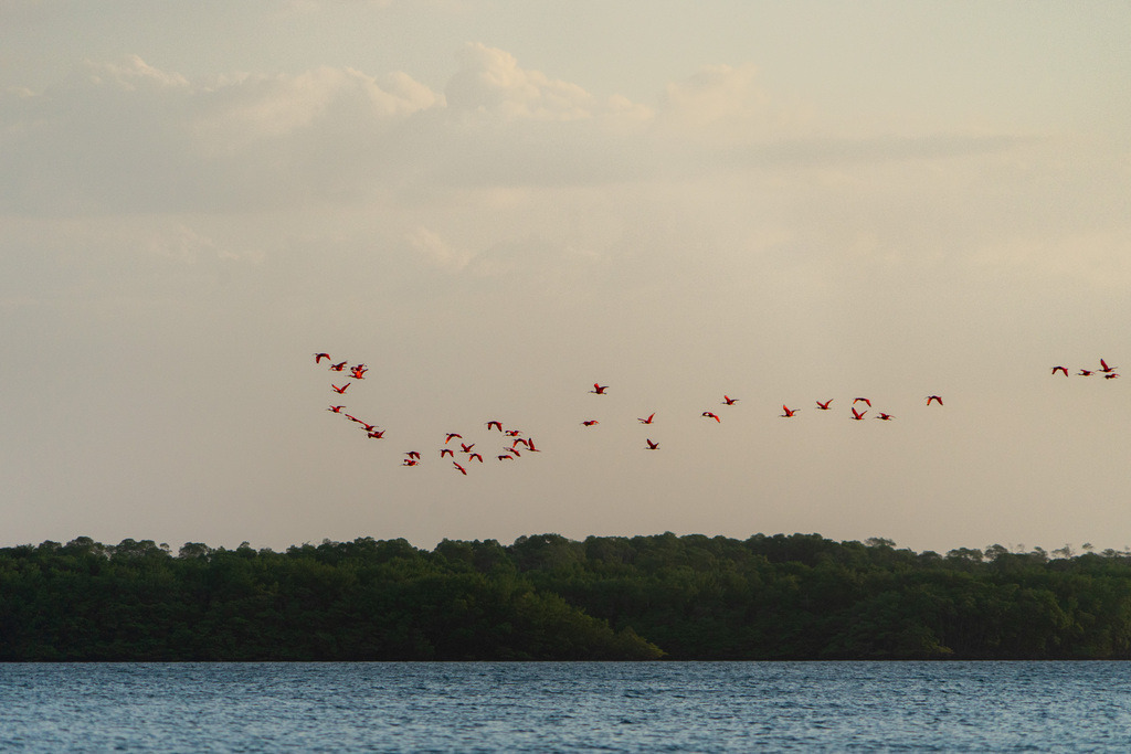 DeltaTour 30.10.25 | paulependelt - Realisiert mit Pictrs.com