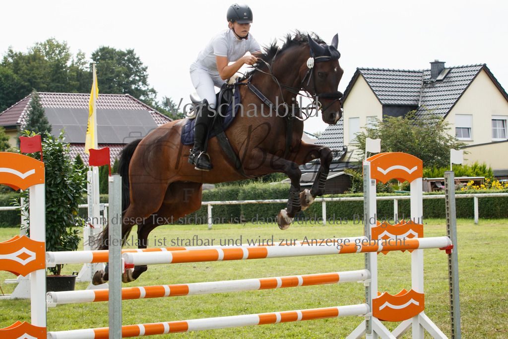 IMG_3145 | P. Berger Fotografie - Realisiert mit Pictrs.com