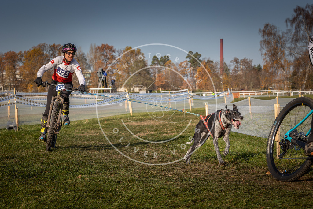 CaniXpix_0L8A7777 | Hundefotografie, Tierfotograf, Pfotenfotografie, Fotoshooting Hund, Hunde Portrait, Hundesport, Hundeportraits, Heideshooting, Hunde, Sportfotograf, Hundefotograf, Turnierhundsport, THS,  - Realisiert mit Pictrs.com