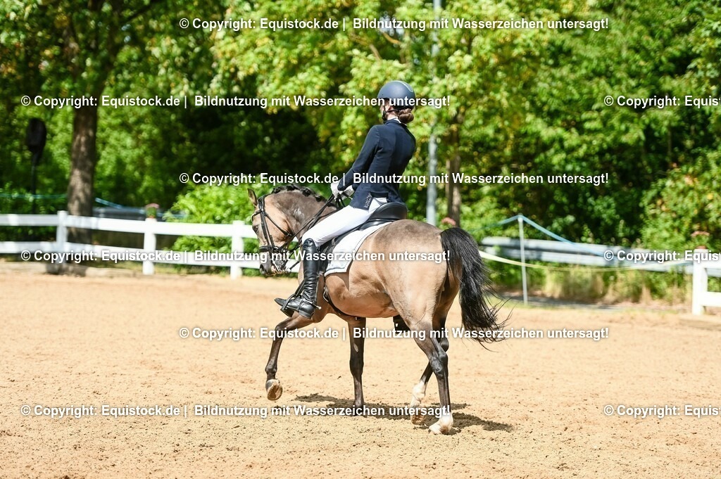 20230716_01_Dressurprüfung Kl.M_0206 | equistock