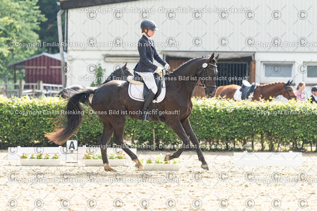 CL5A4393 | Emilia Reinking Fotografie - Realisiert mit Pictrs.com