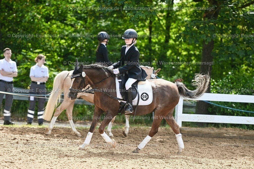 20230716_10-3_Reiter-WB Schritt - Trab - Galopp_0071 | equistock