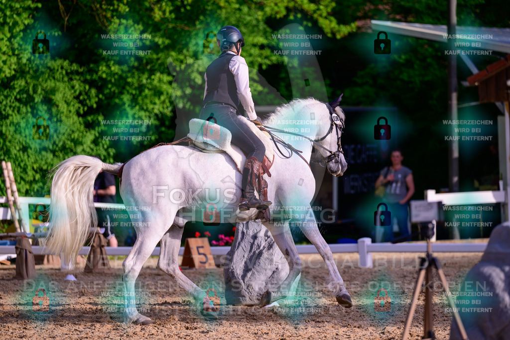 02052026-Giesenbach-03-Speedtrail-0563 | Fokus Hufschlag Fotografie - Realisiert mit Pictrs.com