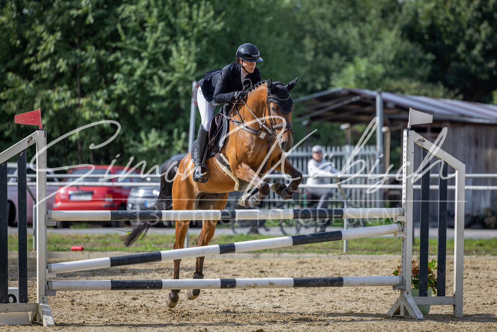 20260905-_3LI7445 | Tierfotografie Pferde, Hunde, Katzen, Haustiere.
Turnierfotografie Reitturniere, Reiten, Springreiten, Dressur in Hanau, dem Main-Kinzig-Kreis und dem Rhein-Main- Gebiet um Frankfurt