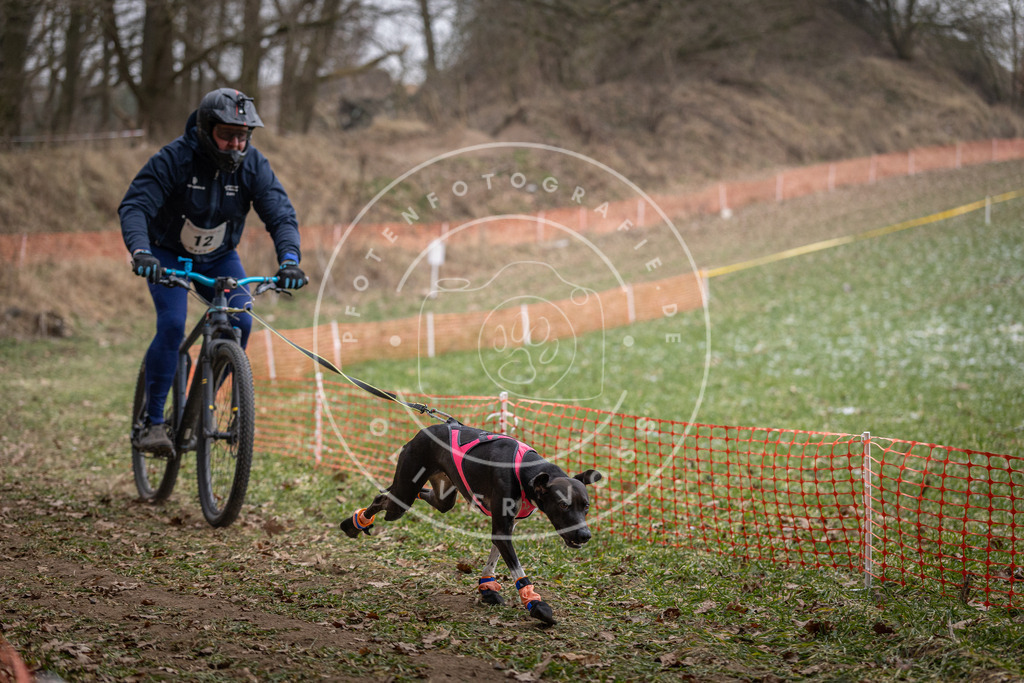 Pfotenfotografie_DV3A6357 | Hundefotografie, Tierfotograf, Pfotenfotografie, Fotoshooting Hund, Hunde Portrait, Hundesport, Hundeportraits, Heideshooting, Hunde, Sportfotograf, Hundefotograf, Turnierhundsport, THS,  - Realisiert mit Pictrs.com