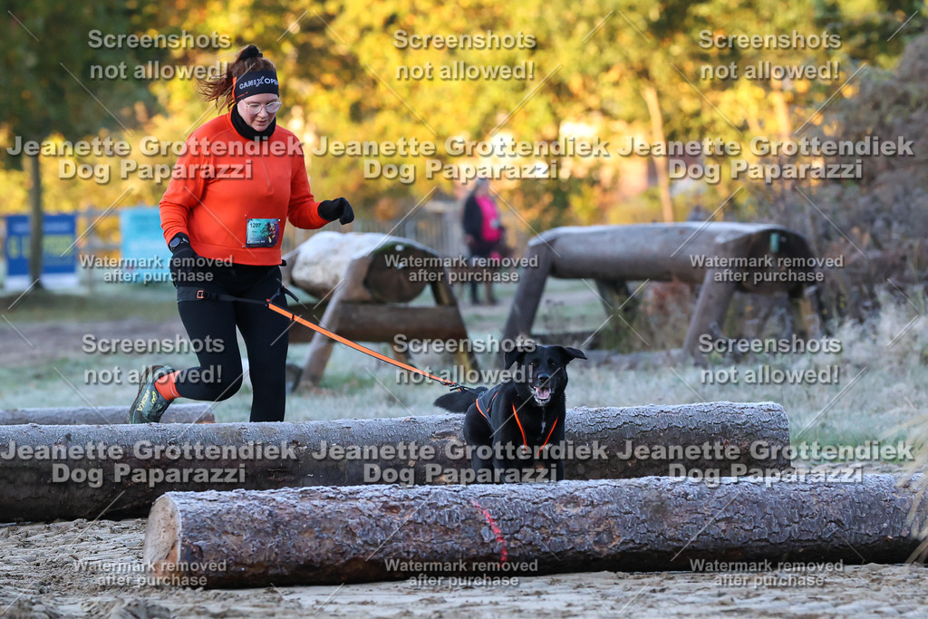 Dog Paparazzi - Strongdog 10-25-253 | Dog Paparazzi Jeanette Grottendiek Fotografie & Videografie - Realisiert mit Pictrs.com