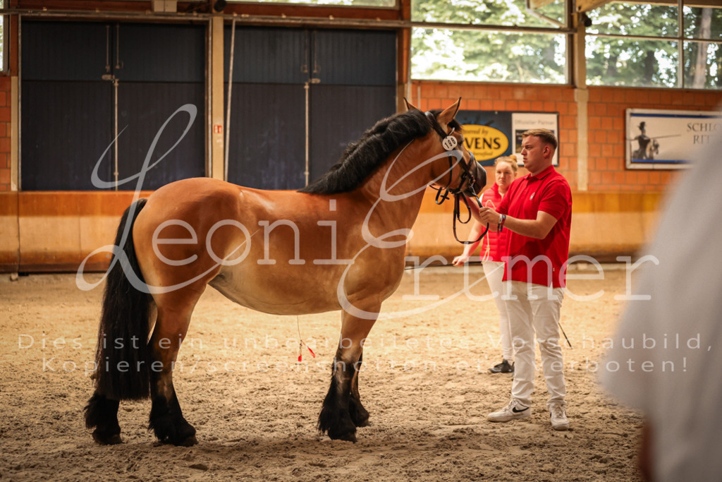 SaFL00179 | Leoni Ertmer Photography - Realisiert mit Pictrs.com