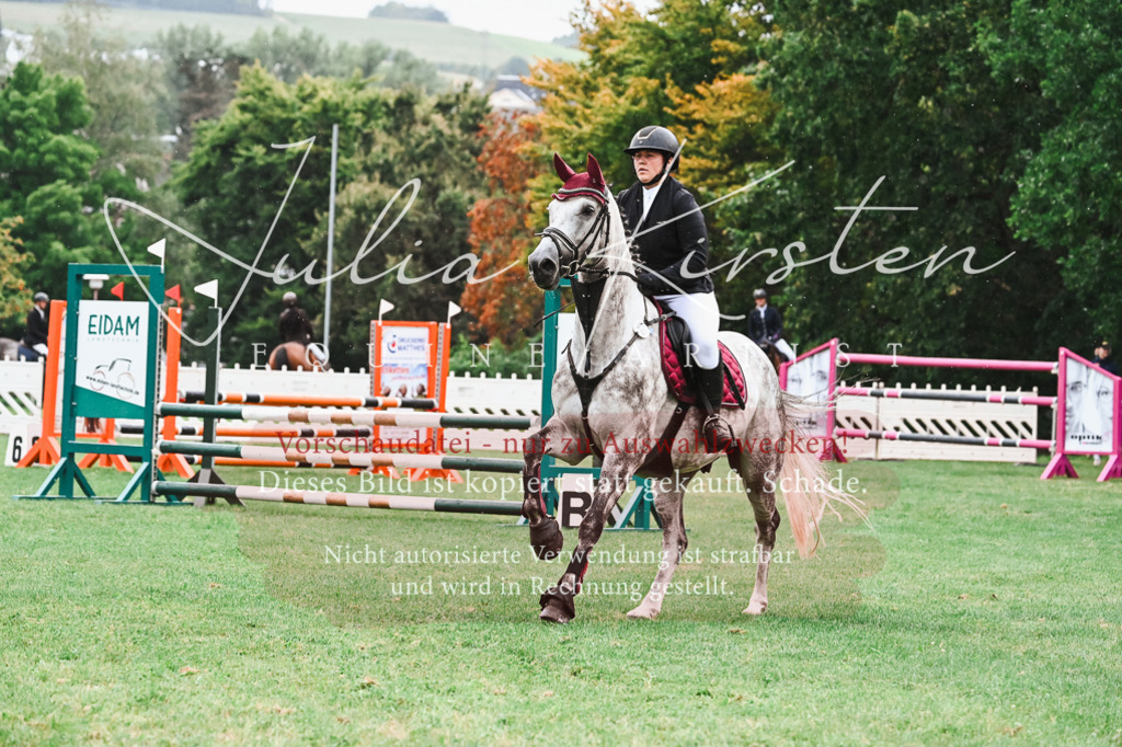 DSC_6350 | Pferde- und Turnierfotografie in Westsachsen. Pferdeportraits, Auftragszeichnungen und intuitive Kunst.