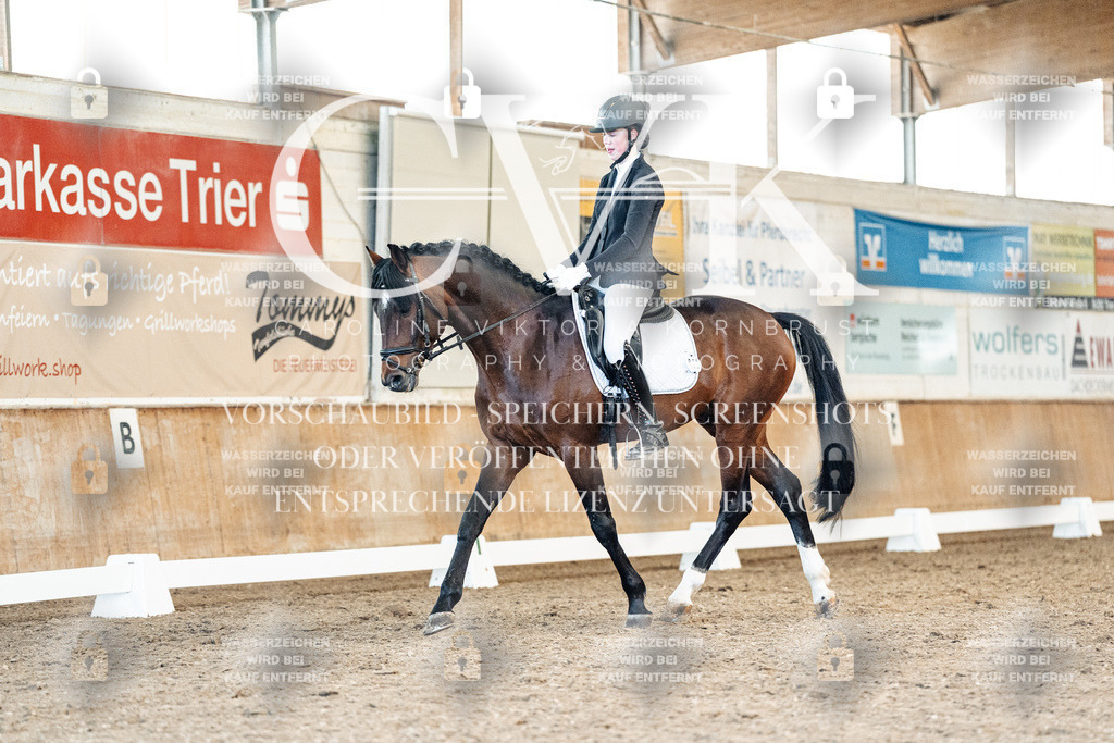 CK908616 | Turnierfotografie Pferdefotografie Trier Rheinland-Pfalz Pferdesport Reitsport Tierfotografie Sportfotografie Pferdevideo Pferdevideografie Equestrianvideography equestrianphotography  - Realized with Pictrs.com