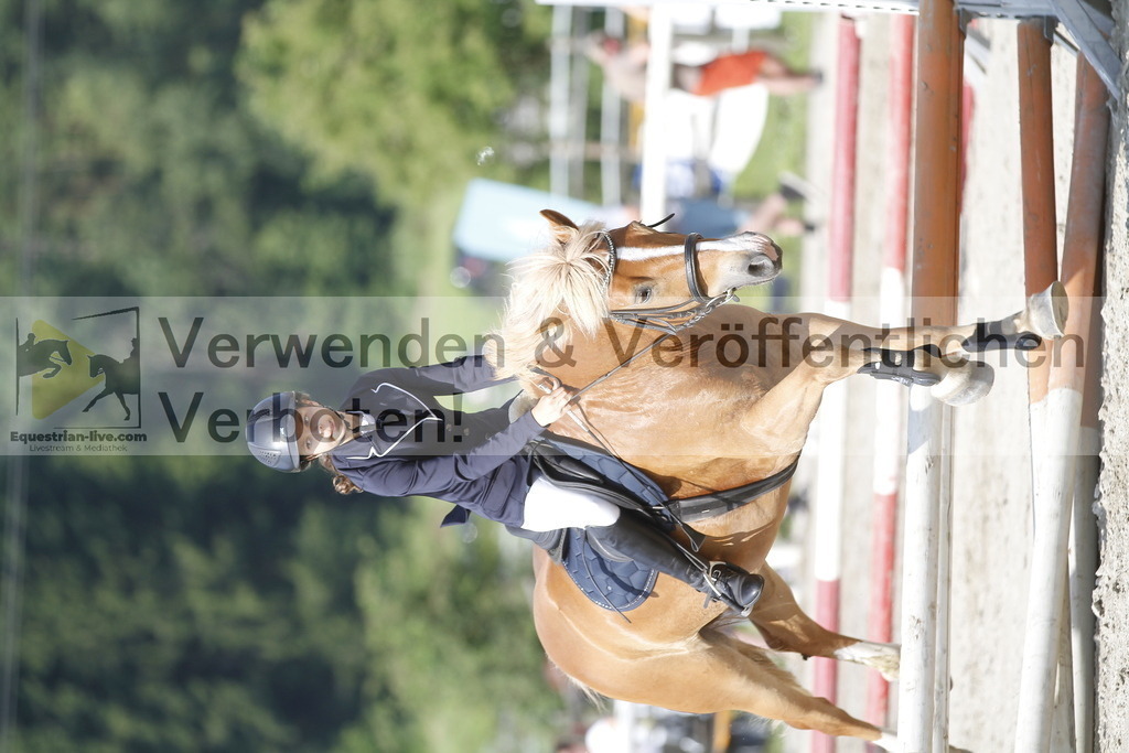 _MG_1729 | equestrian-live-com