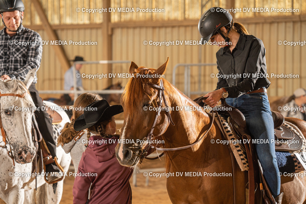 NID02502 | dv-media-shop - Realisiert mit Pictrs.com