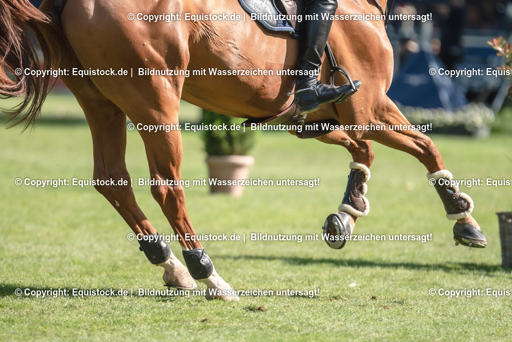 20230527_14_CSI4_Lotto-Hessen-Preis_0083 | equistock