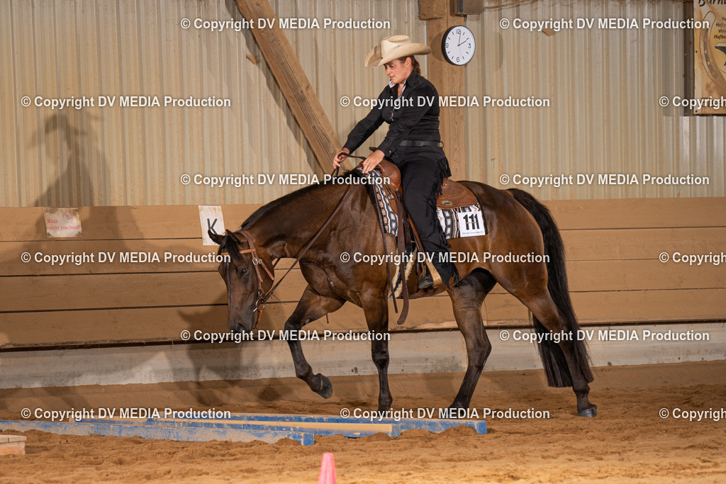 NID00590 | dv-media-shop - Realisiert mit Pictrs.com