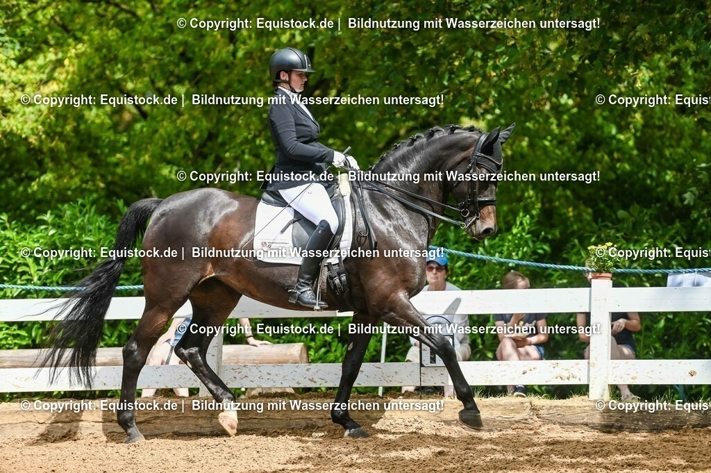20230716_01_Dressurprüfung Kl.M_0116 | equistock