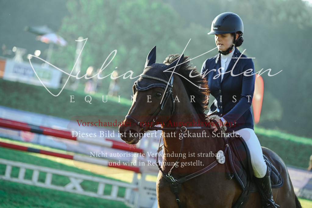 DSC_3958 | Pferde- und Turnierfotografie in Westsachsen. Pferdeportraits, Auftragszeichnungen und intuitive Kunst.