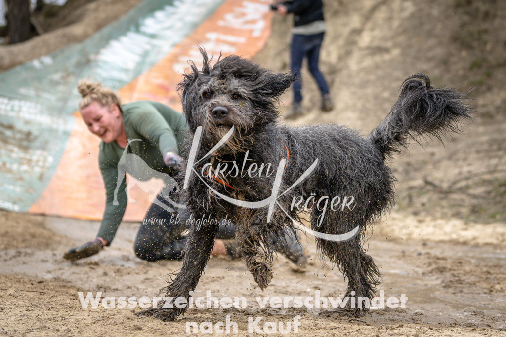 1253DSC_3920 | kk-dogfotos