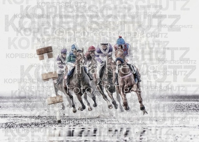 Duhner Watt_Marina Hewig | Fotografie, FotoArt, PferdesportArt, Pferdesportfotografie, Landschaftsfotografie, Reisefotografie, Reise, Pferde - Realisiert mit Pictrs.com