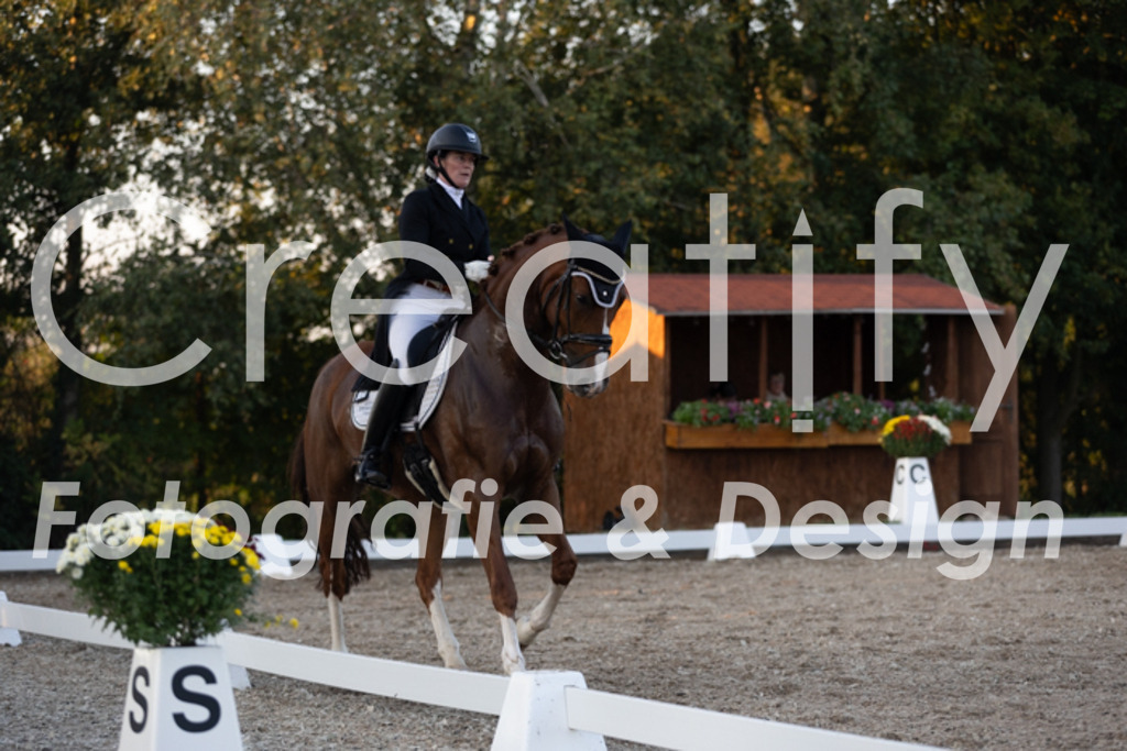 IMG_1950 | Creatify Fotografie