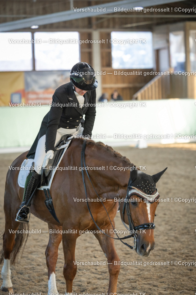 _D5A0872 | Emotionale Pferde- & People-Fotografie rund um Heidelberg, Leimen & Umgebung. Natürliche Fotos von Pferd, Mensch & Familie. Jetzt Termin sichern!