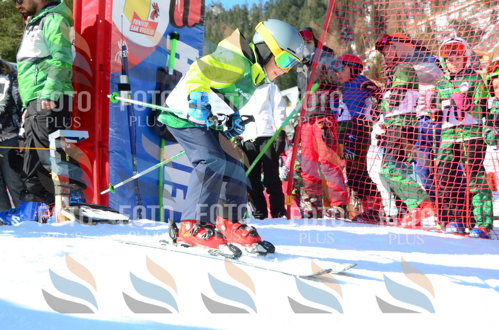 C4882 | holidayphoto