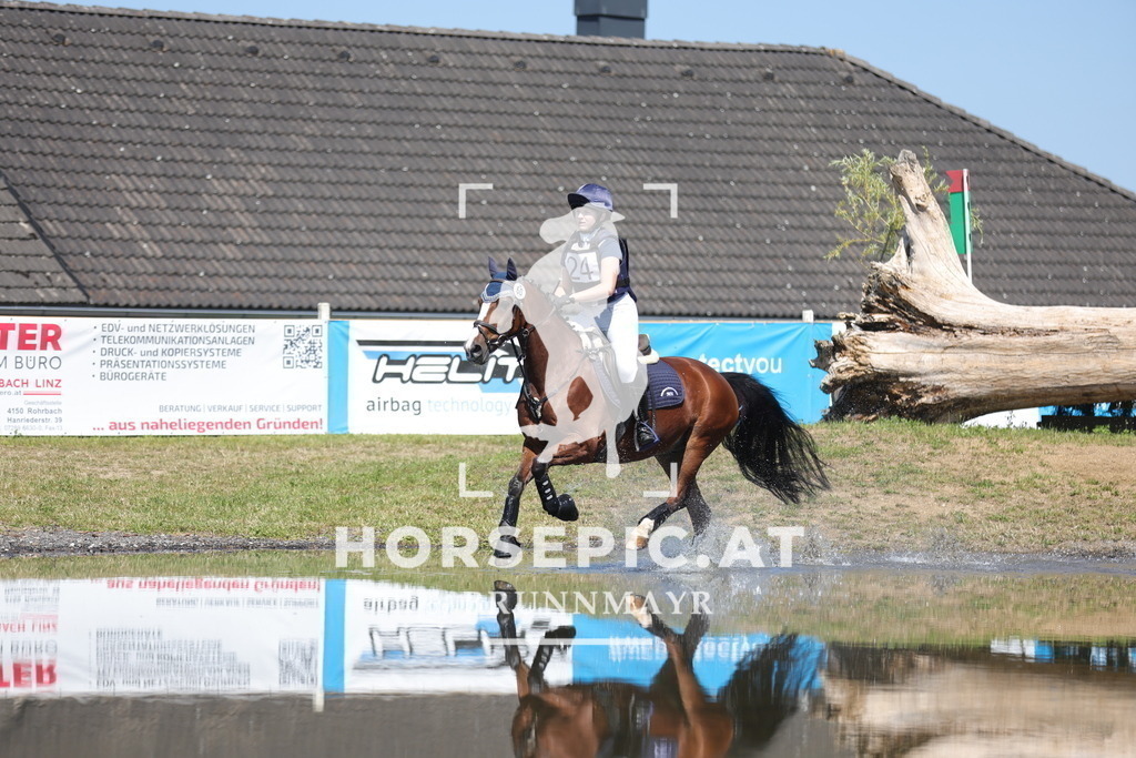 0P6A3481 | Willkommen bei Brunnmayr - Design & Fotografie – Ihrem Spezialisten für Reitturniere und Pferdeveranstaltungen in Oberösterreich, Salzburg und Bayern! Seit über 17 Jahren sind wir leidenschaftlich dabei.