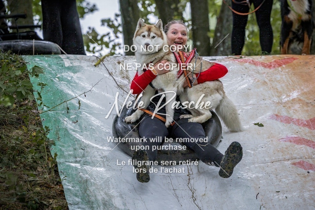 nelerasche_Hunsrück_Sa0900-0930_440-final | nelerasche