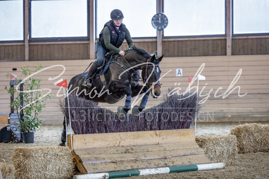 20260221-_3LI0171 | Tierfotografie Pferde, Hunde, Katzen, Haustiere.
Turnierfotografie Reitturniere, Reiten, Springreiten, Dressur in Hanau, dem Main-Kinzig-Kreis und dem Rhein-Main- Gebiet um Frankfurt