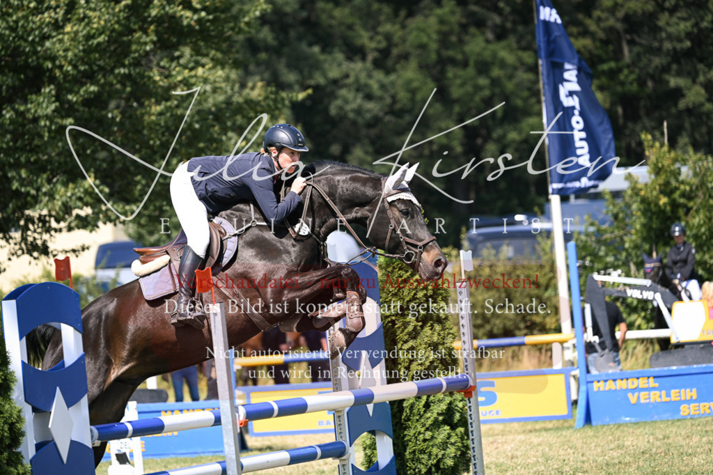 DSC_0482 | Pferde- und Turnierfotografie in Westsachsen. Pferdeportraits, Auftragszeichnungen und intuitive Kunst.