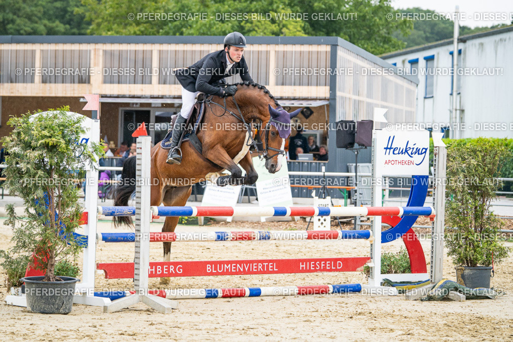 DSC00567 | Pferdegrafie