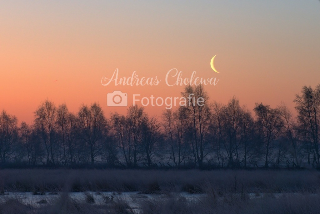Mond trifft Sonnenaufgang | Der Onlineshop für malerische Fotografien aus dem Landkreis Vechta✅ Premium Druck auf Leinwand✅ Acryl✅ oder Alu-Dibond✅➤Jetzt Bestellen! - Realisiert mit Pictrs.com