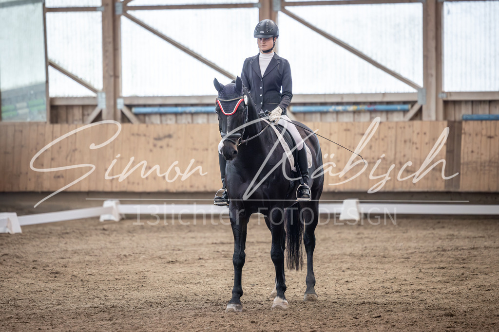 20251011-_3LI9836 | Tierfotografie Pferde, Hunde, Katzen, Haustiere.
Turnierfotografie Reitturniere, Reiten, Springreiten, Dressur in Hanau, dem Main-Kinzig-Kreis und dem Rhein-Main- Gebiet um Frankfurt