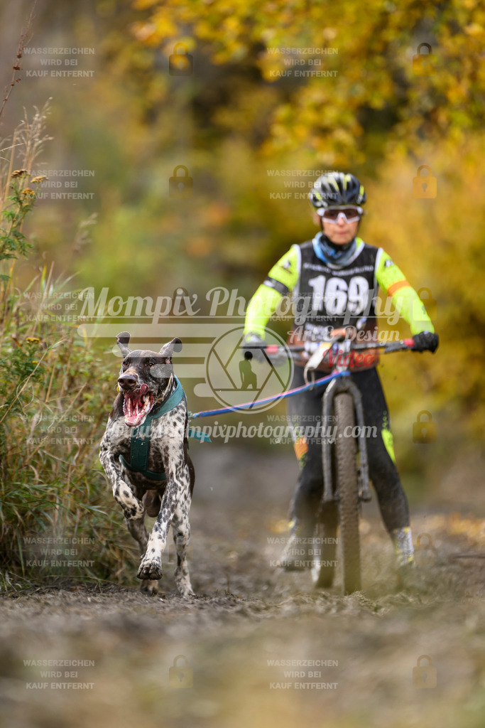 MompixPhotography_ICF_WC_2024_SA_Bike_-242 | PayLife