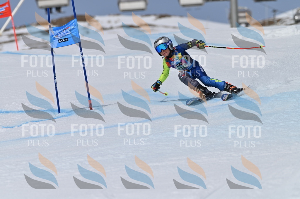 BGV_6142 | holidayphoto