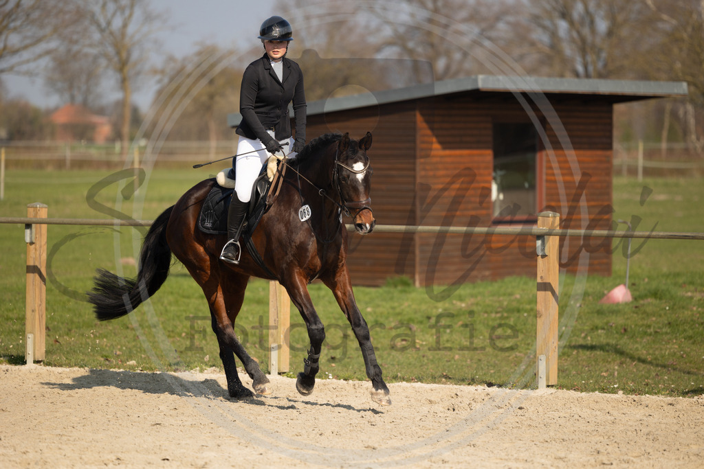 994A9732 | sabrinanicolaifotografie - Realisiert mit Pictrs.com