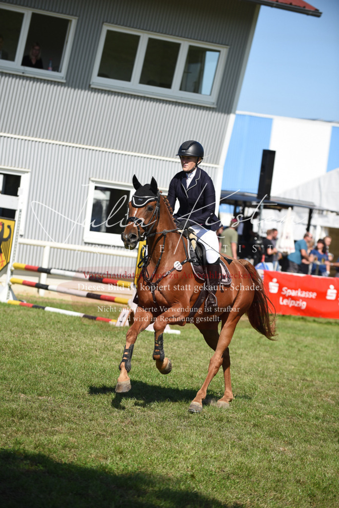 DSC_9219 | Pferde- und Turnierfotografie in Westsachsen. Pferdeportraits, Auftragszeichnungen und intuitive Kunst.