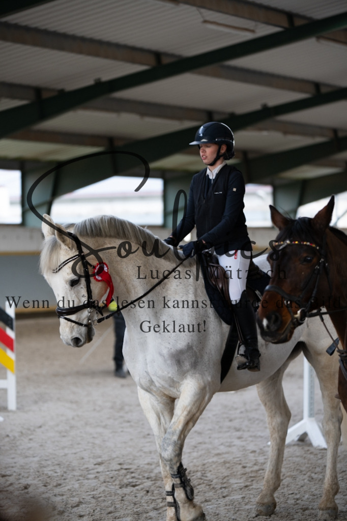 A7V04379 | Pferdefotograf