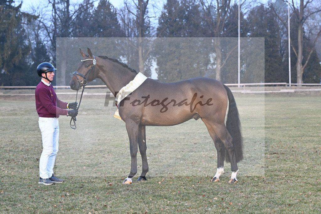 Kat.-Nr. 78 v. Total Hope_Paulix_3263130 | hf-fotografie - Realisiert mit Pictrs.com
