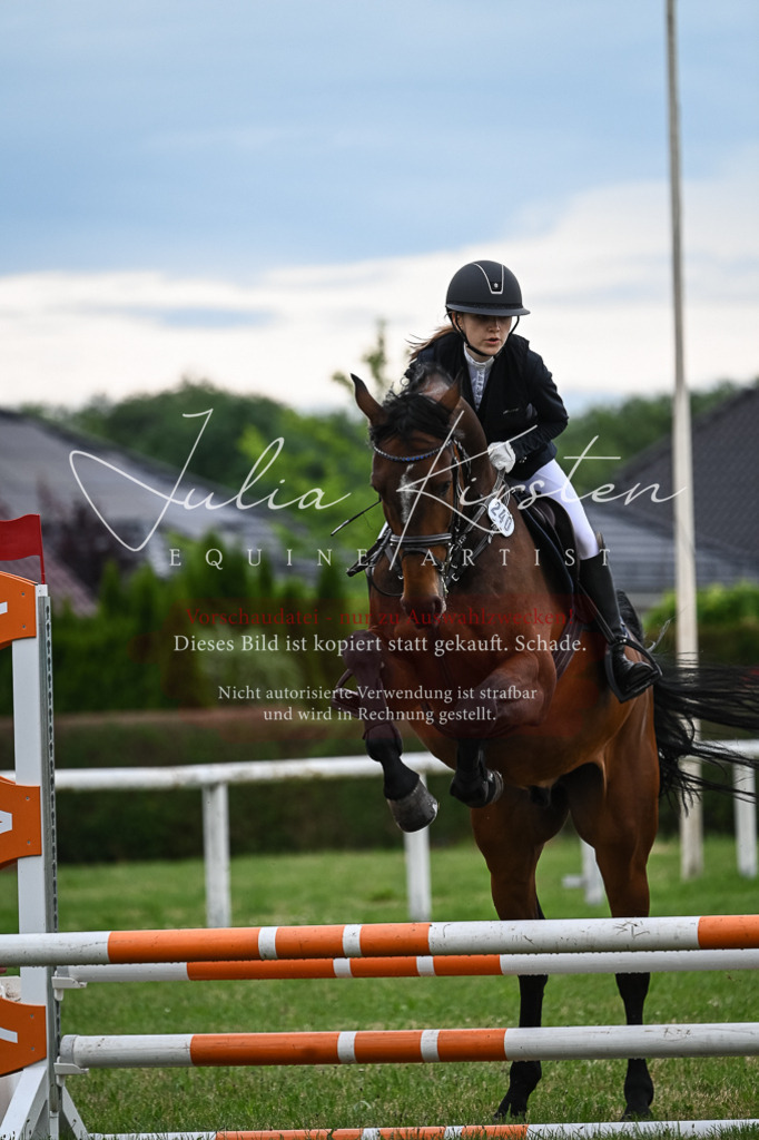 DSC_8468 | Pferde- und Turnierfotografie in Westsachsen. Pferdeportraits, Auftragszeichnungen und intuitive Kunst.