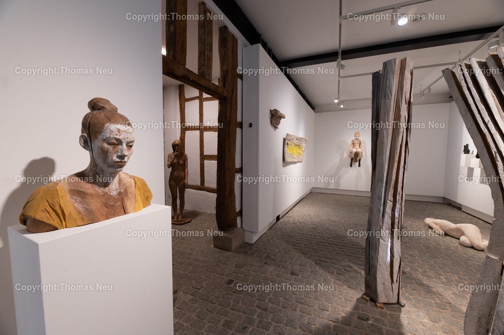 DSC_9216 | Museum Bensheim, Ausstellung Jochen Walpoth, 