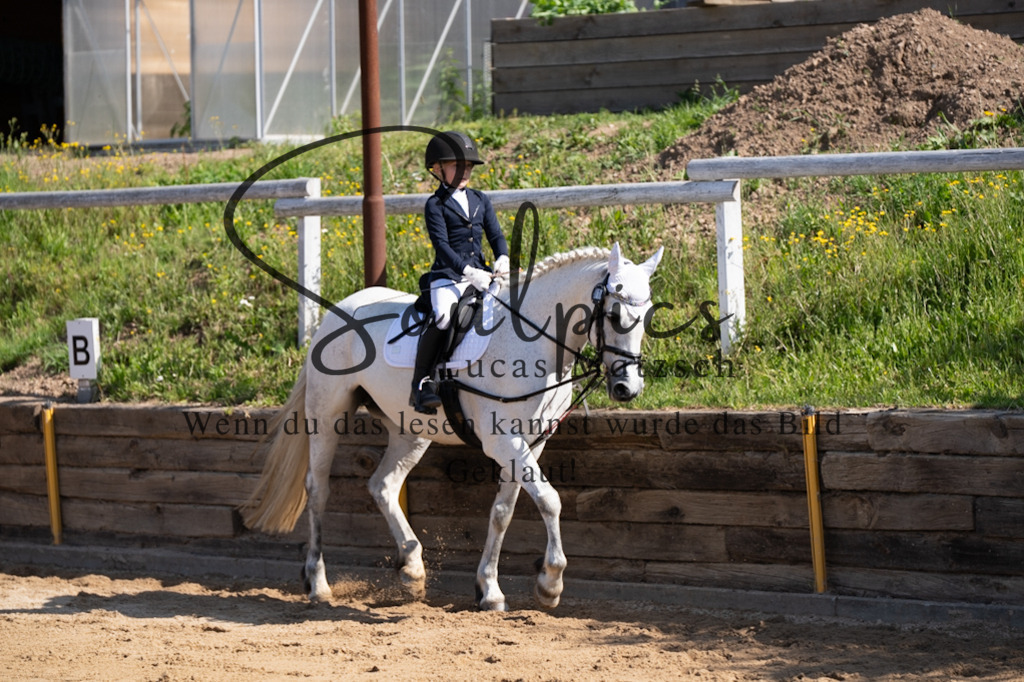 A7V07737 | Pferdefotograf