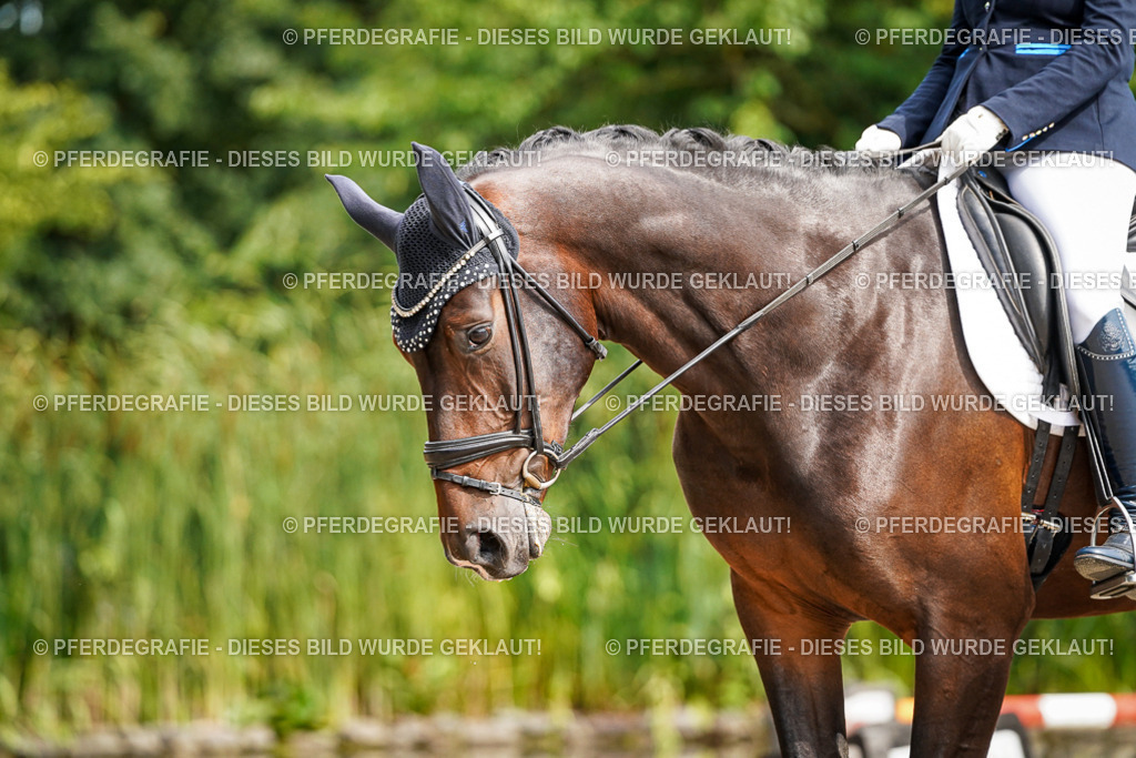 DSC07883 | Pferdegrafie