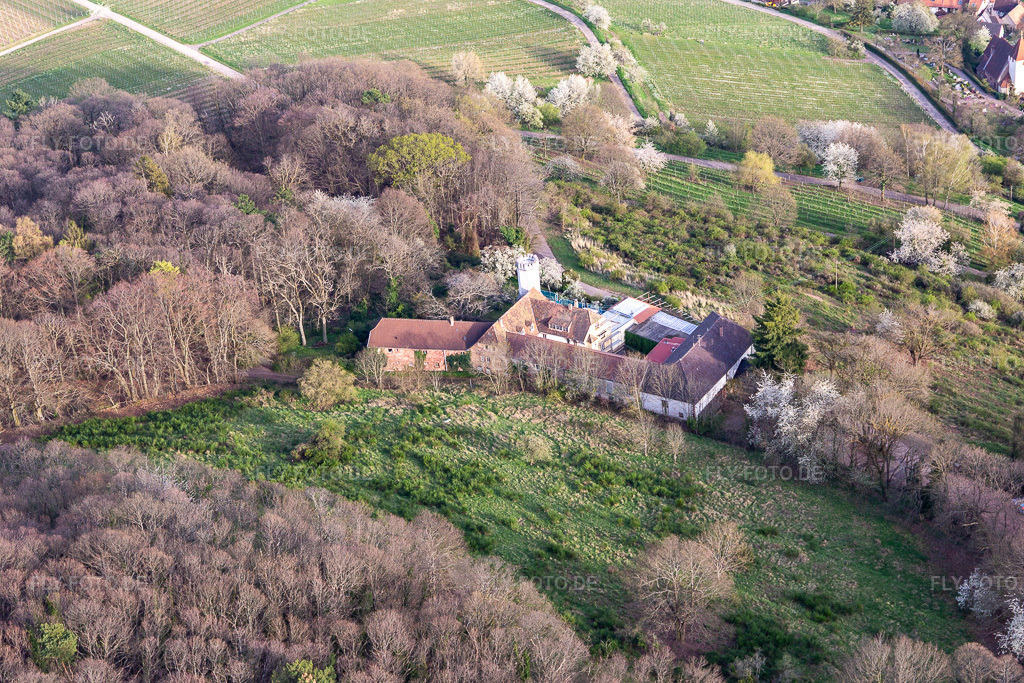 Luftbild: Slevogthof in Leinsweiler im Bundesland Rheinland-Pfalz in Deutschland. Foto: IMG_131157.jpg vom 12.04.2022 durch Werner Riehm/FLY-FOTO.de